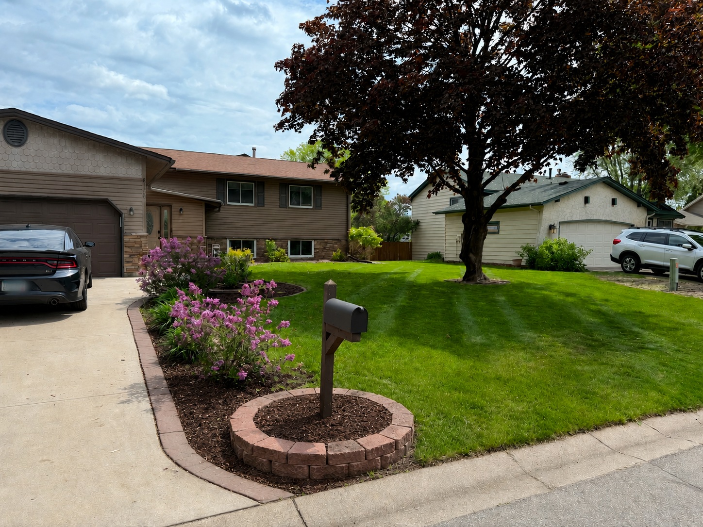 Freshly maintained front yard with clean mowing stripes and landscaping